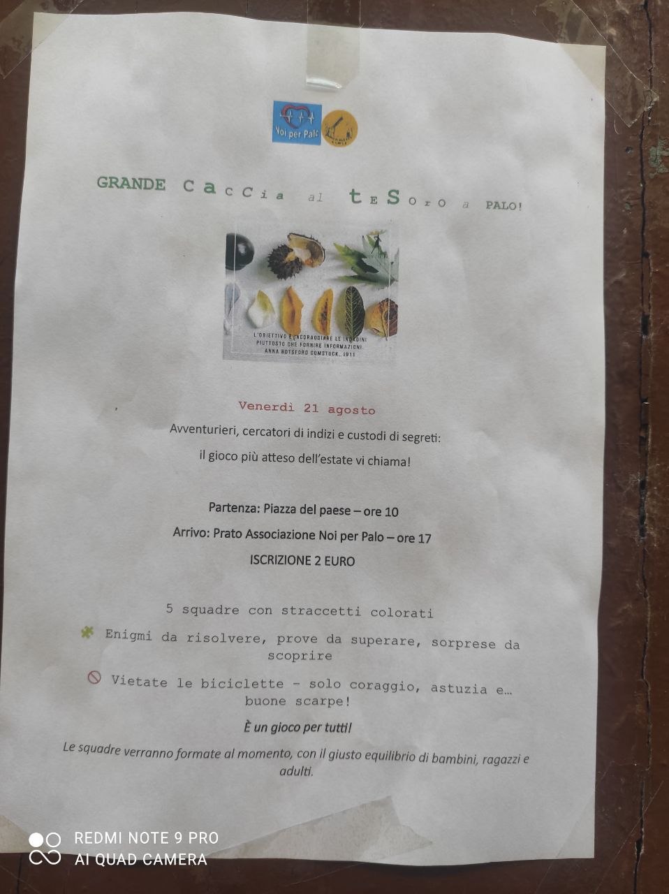 Immagine attività